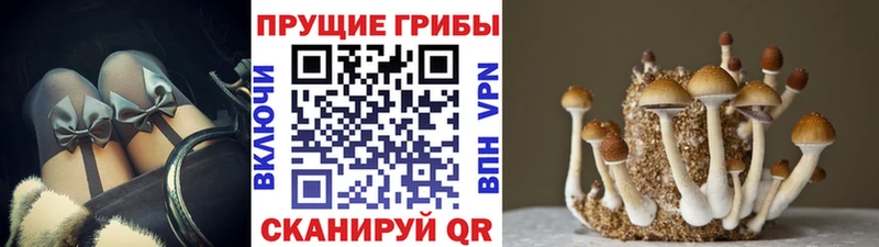 Галлюциногенные грибы GOLDEN TEACHER  Нестеровская 